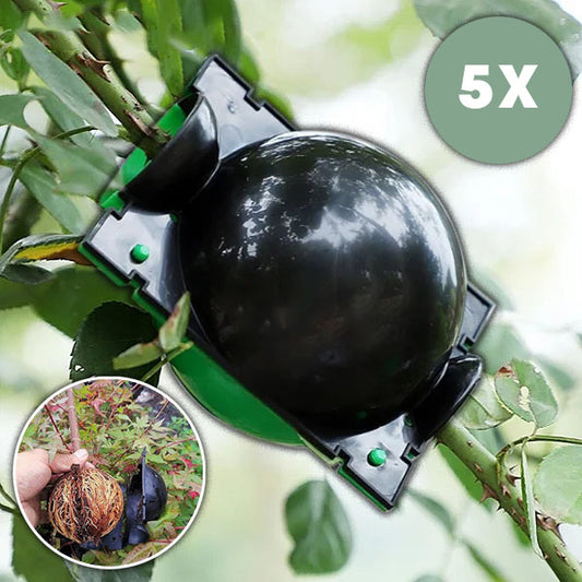 Cutii de Propagare ROOTY™ (5 buc)